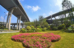寧波市建潤市政-“三路”高架橋綠化美化工程IV標段
